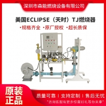 eclipse天時TJ0200燃燒器西門子電子比調RTO燃燒器